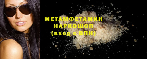 прущие грибы Медногорск