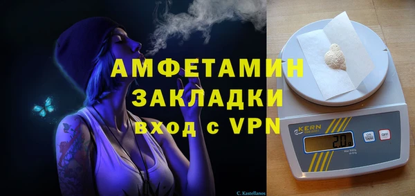 прущие грибы Медногорск