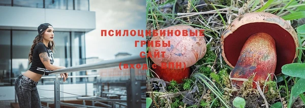 дмт Балабаново