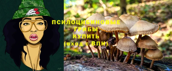 mix Аркадак