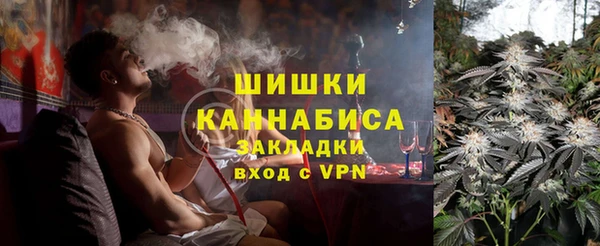 прущие грибы Медногорск