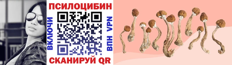 Псилоцибиновые грибы ЛСД  МЕГА зеркало  Радужный  закладка 